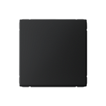 ArtGallery Карбон Выключатель одноклавишный, кнопочный, 10А, механизм Systeme Electric (Schneider Electric)