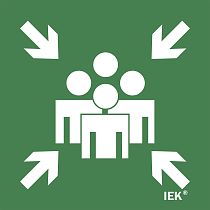 Этикетка самоклеящаяся 150х150мм "Место сбора"  IEK