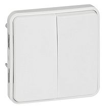Переключатель двухклавишный два направления белый Plexo Arctic Legrand