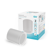 Светильник светодиодный Gauss накладной с рассеивателем HD022 6Вт белый 4100K 68х75мм, 420lm