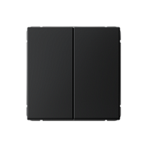 ArtGallery Карбон Выключатель двухклавишный, кнопочный, сх.2, 10А, механизм Systeme Electric (Schneider Electric)