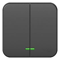 Blanca открытая установка с изолированной пластиной Антрацит Выключатель 2клавишный  с подсветкой 10А,250B Systeme Electric (Schneider Electric)