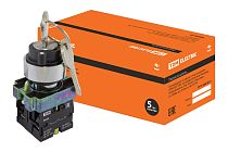 Переключатель BG45 черный 2 положения с ключом 1з+1р  TDM