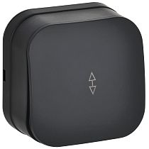 GLORY Выключатель 1-клавишный для открытой установки проходной 10А ВСп10-1-0-ХЧм черный матовый IEK