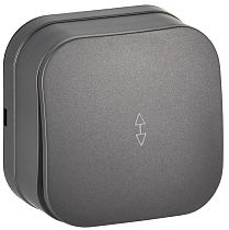 GLORY Выключатель 1-клавишный для открытой установки проходной 10А ВСп10-1-0-ХСм сталь матовый IEK