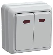 Выключатель двухклавишный ОП Октава 10А IP20 ВС20-2-1-ОБ с индикацией белый  IEK