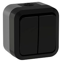 TORS Выключатель двухклавишный проходной 10А IP55 TS125 графит IEK