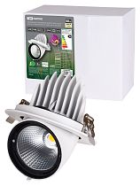 Светильник встраиваемый поворотный "Акцент-1" LED DSL-01-040-WW 40 Вт, 24°, 3000 К, 90 Ra, IP40,  TDM