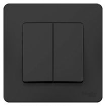 Blanca скрытая установка Антрацит Переключатель 2 клавишный , 10А Systeme Electric (Schneider Electric)