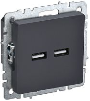 Розетка BRITE USB A+A 5В 3,1А РЮ10-1-БрГ графит IEK Розетка BRITE USB A+A 5В 3,1А РЮ10-1-БрГ графит IEK