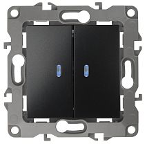 Выключатель ЭРА 12 12-1105-05 10А 250В антрацит двухклавишный с подсветкой