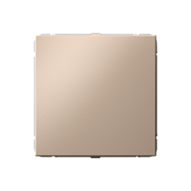 ArtGallery Песочный Заглушка без суппорта для многопостовых рамок Systeme Electric (Schneider Electric)