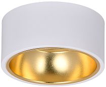 Светильник LIGHTING 4017 накладной потолочный под лампу GX53 белый/золото  IEK