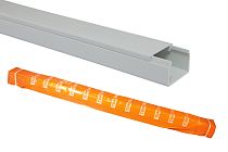 Кабель-канал 20х10 белый  (100 м) TDM