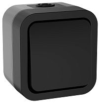 TORS Выключатель двухполюсный одноклавишный 10А IP55 TS111 графит  IEK