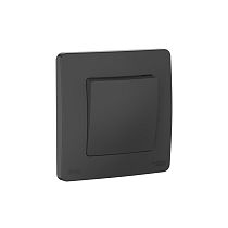 Blanca скрытая установка Антрацит Переключатель 1 клавишный IP44 (сх.6), 10A, 250В Systeme Electric (Schneider Electric)