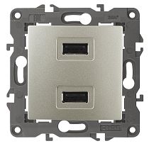 Устройство зарядное USB ЭРА Elegance 14-4110-04 230В_5В-2100мА шампань Устройство зарядное USB ЭРА Elegance 14-4110-04 230В_5В-2100мА шампань