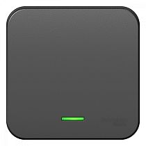 Blanca открытая установка с изолированной пластиной Антрацит Переключатель 1клавишный  с подсветкой 10А Systeme Electric (Schneider Electric)