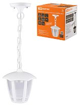 Светильник садово-парковый "СИТИ" НСУ 07-60-002 У1 6-ти гранник подвесной белый  TDM