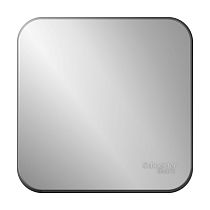 Выключатель Blanca 1 клавишный   с самовозвратом, 10А ,открытая установка с  с изолированной пластиной, Алюминий Systeme Electric (Schneider Electric)