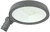 Светильник светодиодный ДКУ Парк 2001-100Д 5000К IP65  IEK