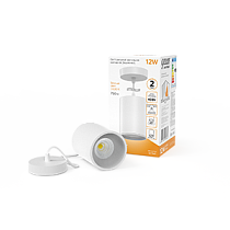 Светильник светодиодный Gauss накладной подвесной HD039 12Вт белый/белый 3000K 79х100мм