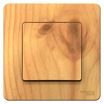 Blanca скрытая установка Ясень Переключатель 1 клавишный , 10А Systeme Electric (Schneider Electric)