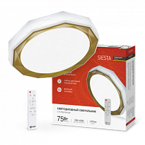 Светильник светодиодный COMFORT SIESTA 75Вт 230В 3000-6500K 6000Лм 520x90мм с пультом ДУ IN HOME