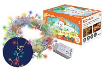 Гирлянда новогодняя  светодиодная, СГ 100, 220 В, многоцветная, 5 м, 8 режимов   TDM