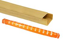 Кабель-канал 100х60 желтая сосна 3D (12м)  TDM