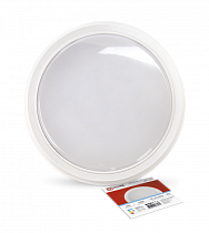 Светильник светодиодный СПБ-2-КРУГ 24Вт 230В 6500К 1700Лм 310мм белый IN HOME