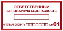 Наклейка "Ответственный за пожарную безопасность" B03 (100х200мм.) EKF PROxima