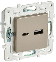 SKANDY Розетка USB A+C 18Вт SK-R13Sh шампань IEK SKANDY Розетка USB A+C 18Вт SK-R13Sh шампань IEK