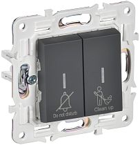 SKANDY Выключатель 2-клавишный с индикацией для отелей 10А SK-V16G графит IEK