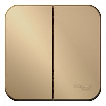 Blanca открытая установка с изолированной пластиной Титан Выключатель 2клавишный  10А Systeme Electric (Schneider Electric)