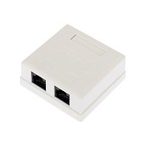 Розетка компьютерная внешняя, 2-порта UTP RJ-45 (8P8C), CAT 6 REXANT Розетка компьютерная внешняя, 2-порта UTP RJ-45 (8P8C), CAT 6 REXANT