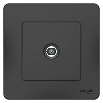 Blanca скрытая установка Антрацит Розетка TV Systeme Electric (Schneider Electric)