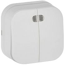 GLORY Выключатель 2-клавишный для открытой установки с индикацией 10А ВС20-2-1-ХБм белый матовый IEK