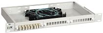ITK 1U кросс укомплектованный: LC (duplex) 4шт; (OM3) IEK ITK 1U кросс укомплектованный: LC (duplex) 4шт; (OM3) IEK