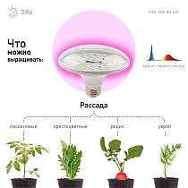 Фитолампа для растений светодиодная ЭРА FITO-18W-RB-E27 красно-синего спектра 18 ВТ Е27 Фитолампа для растений светодиодная ЭРА FITO-18W-RB-E27 красно-синего спектра 18 ВТ Е27